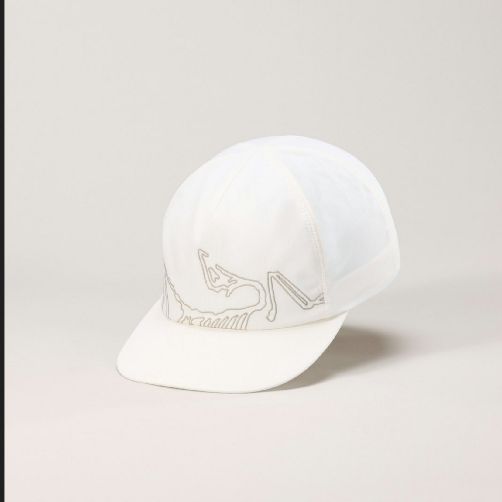 Arcteryx Arcteryx Silex Cap