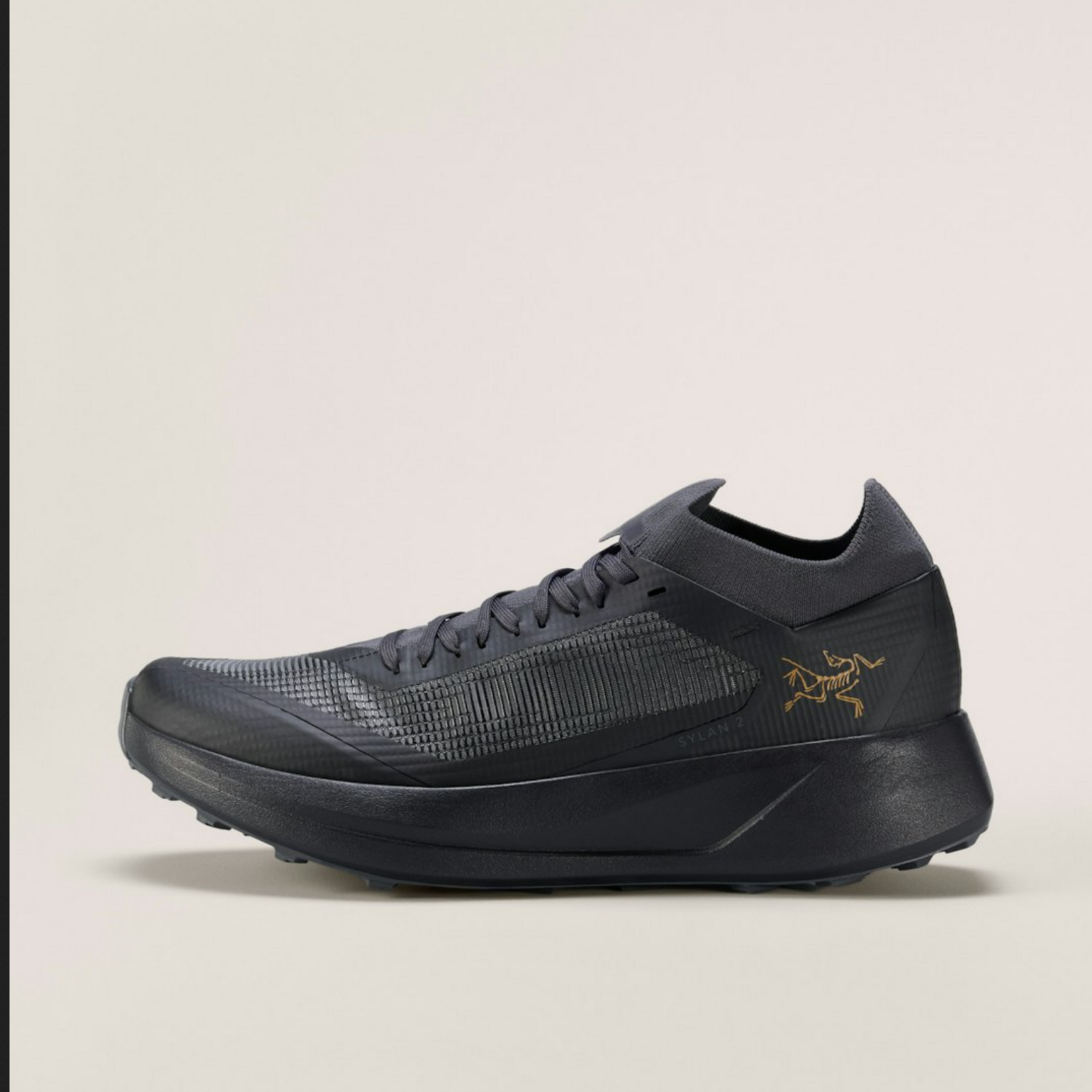 Arcteryx Arcteryx Sylan 2 (M)