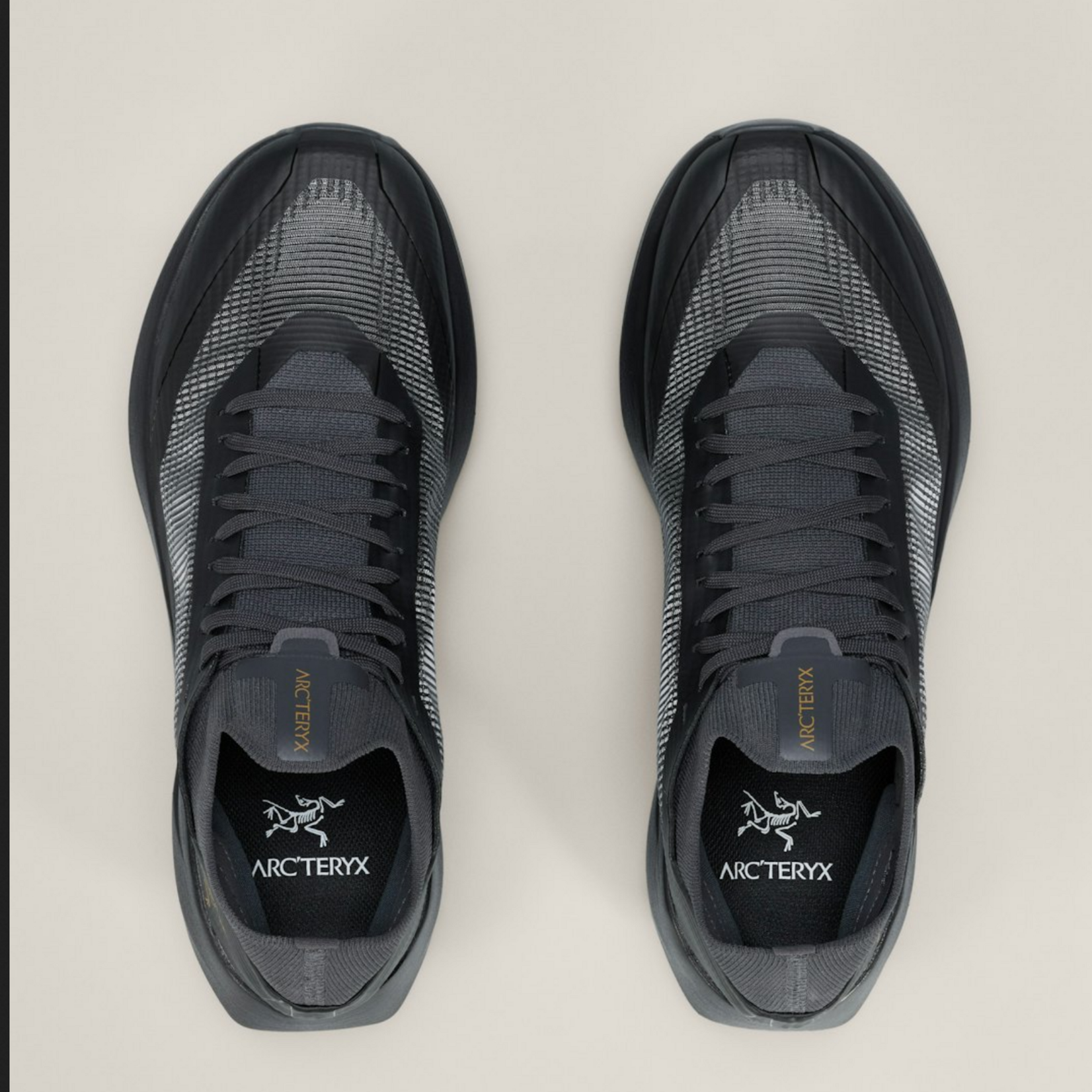 Arcteryx Arcteryx Sylan 2 (M)