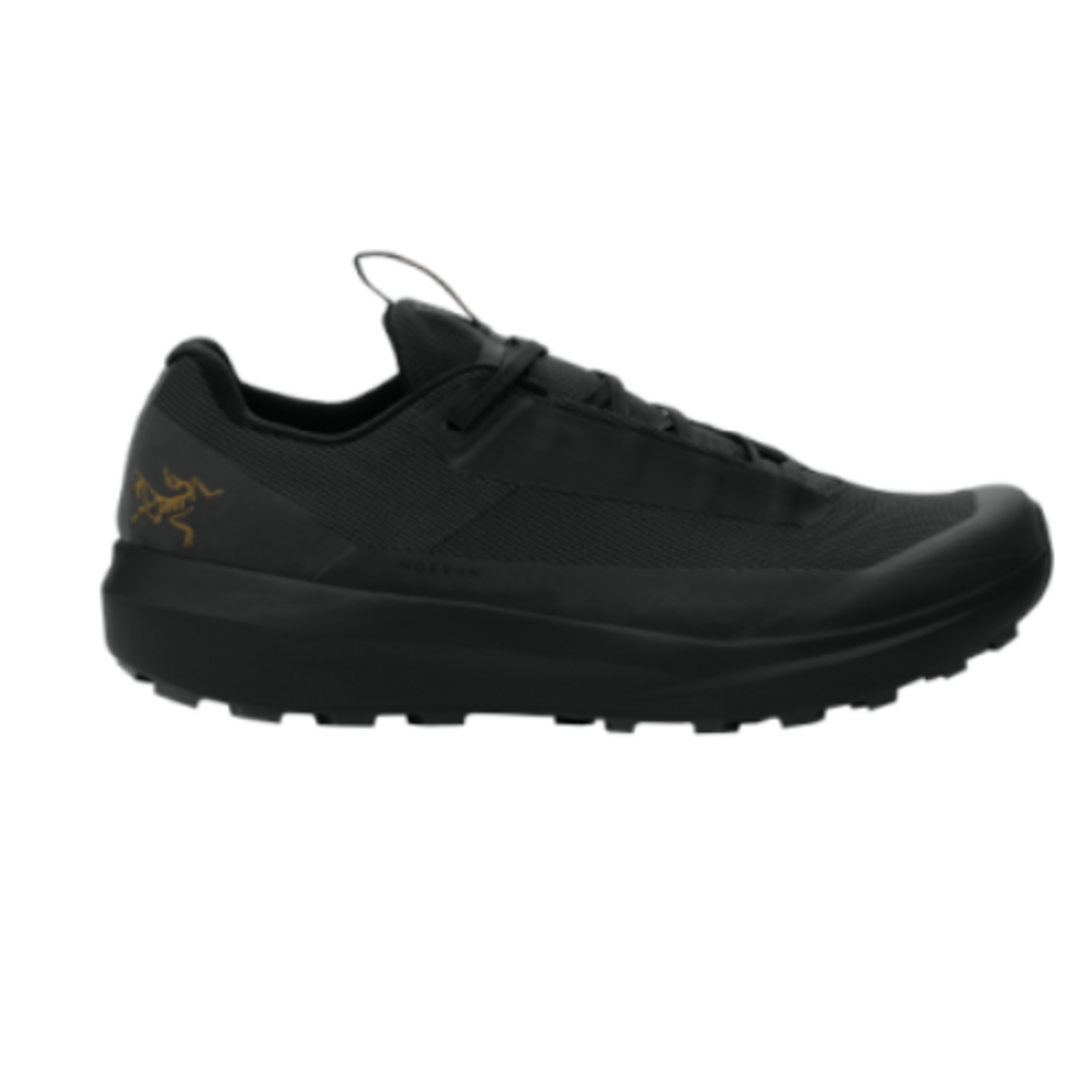 Arcteryx Arcteryx Norvan LD 4 GTX (M)