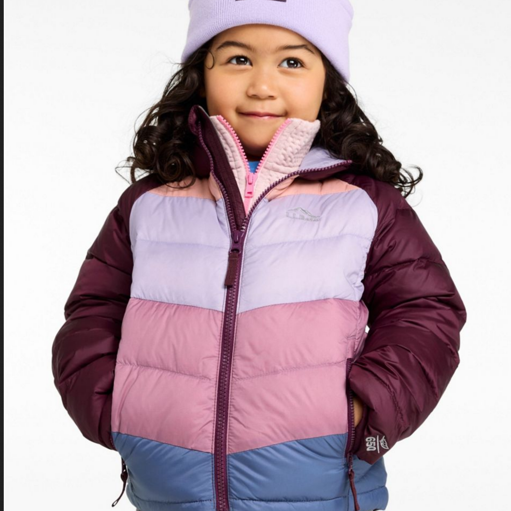 L.L Bean L.L. Bean Ultralight 650 Down Colorblock Jacket (Y)