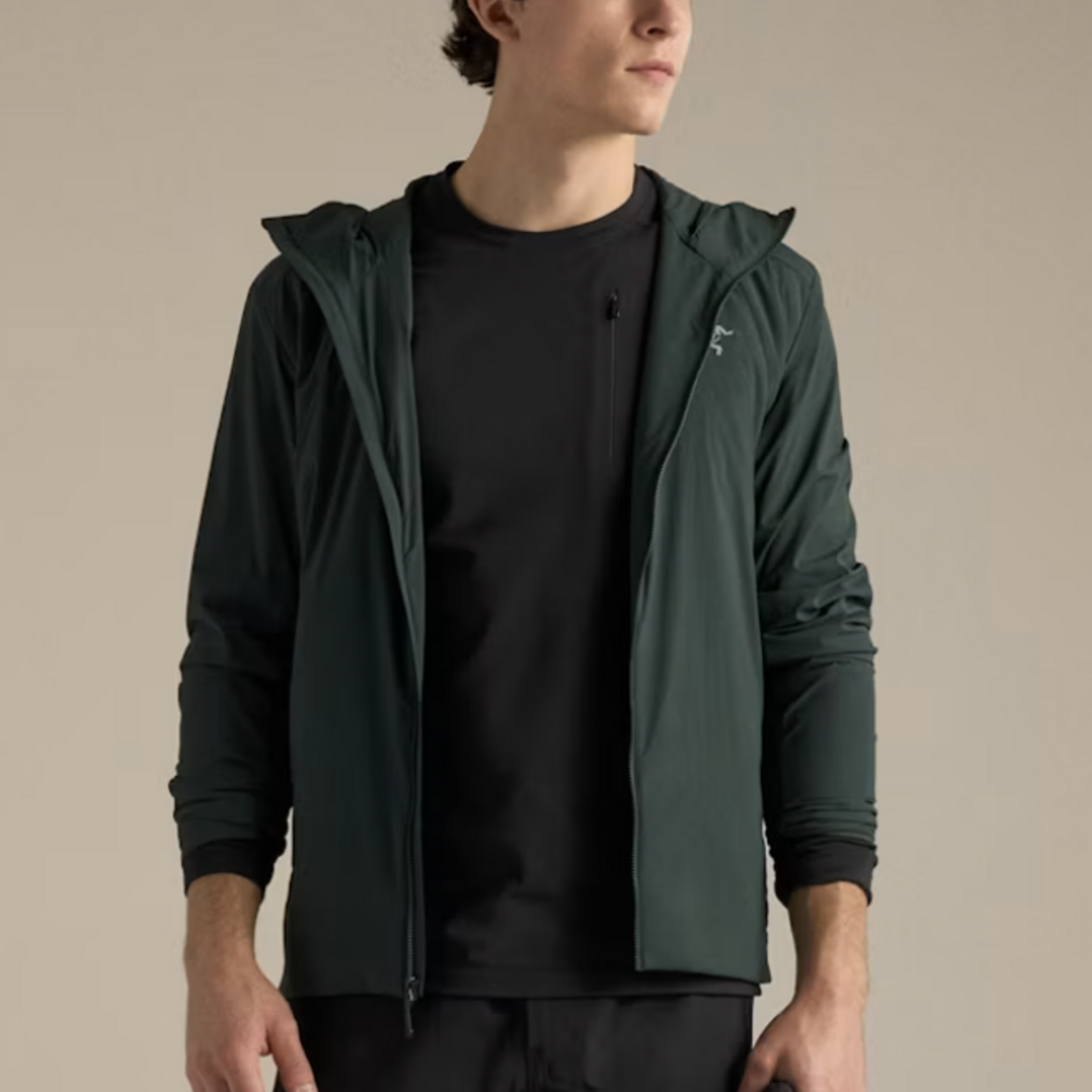 Arcteryx Arcteryx Atom SL Hoody (M)