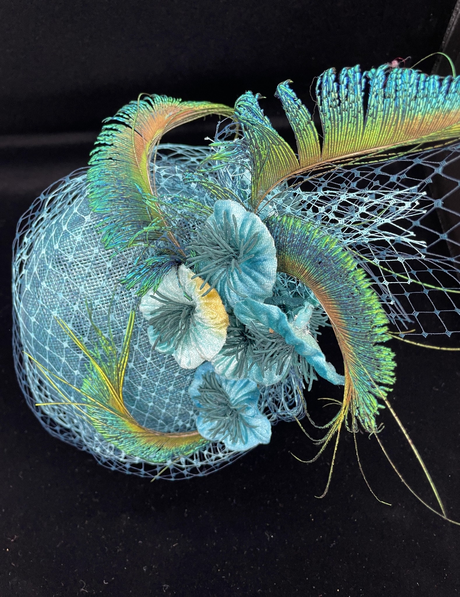 vintage peacock feather image