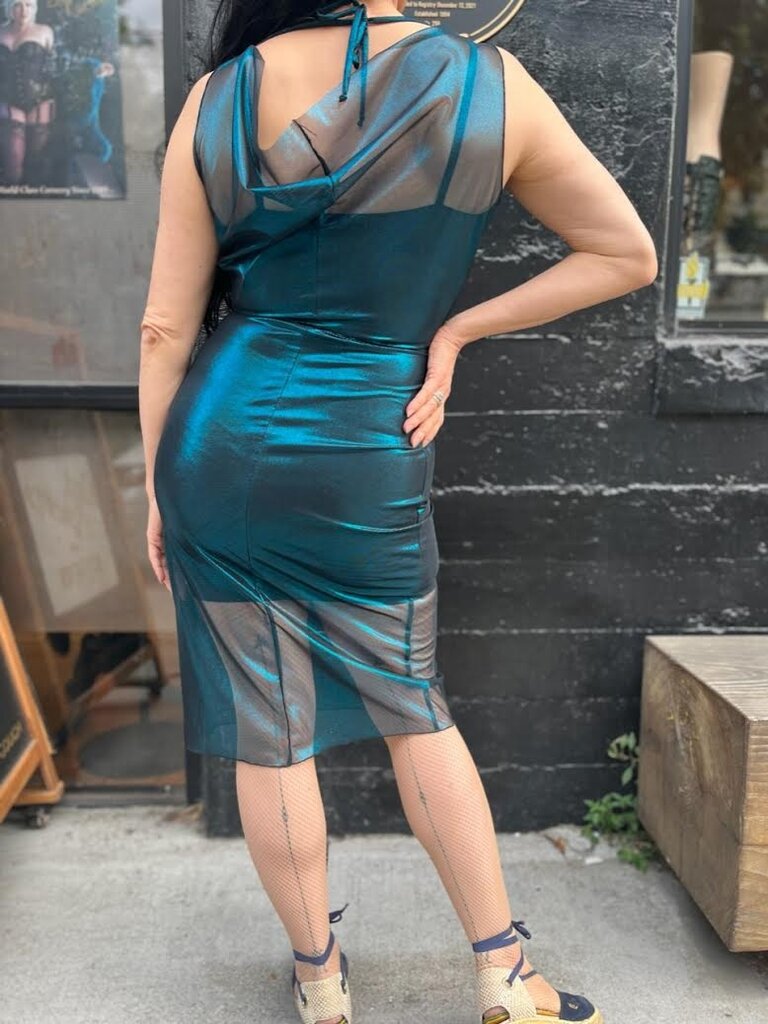 Dark Garden Sheer Sophia Dress