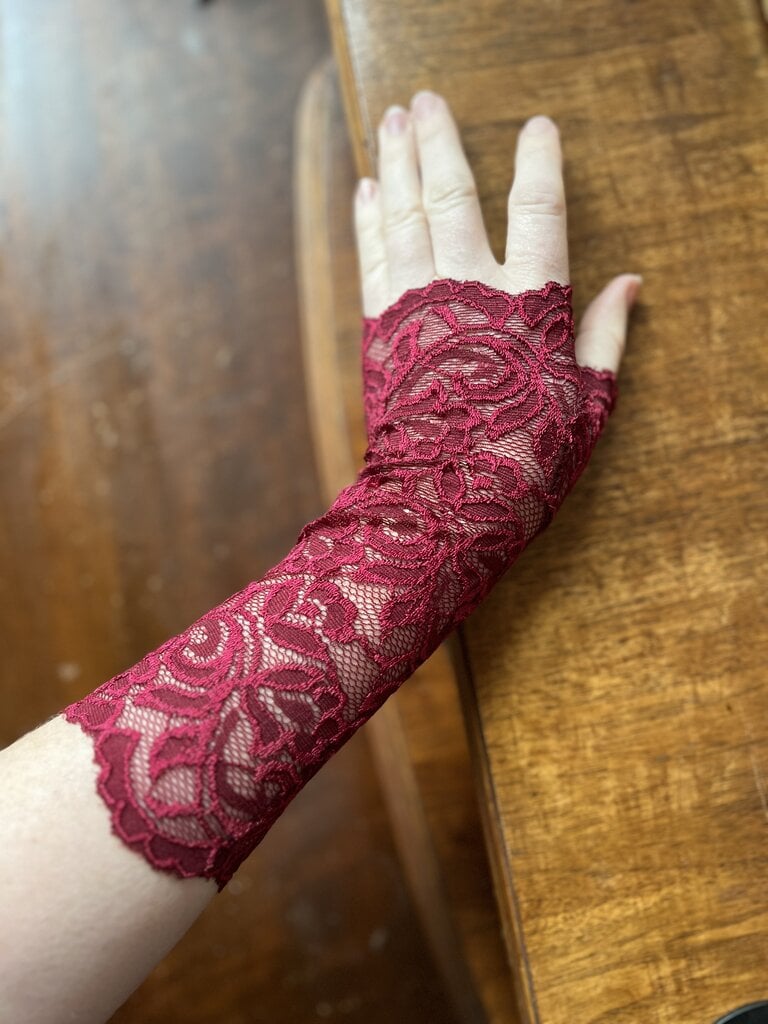 Dark Garden Fingerless Lace Gloves