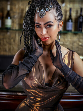 Sheer Sophia Dress [Made to Order]