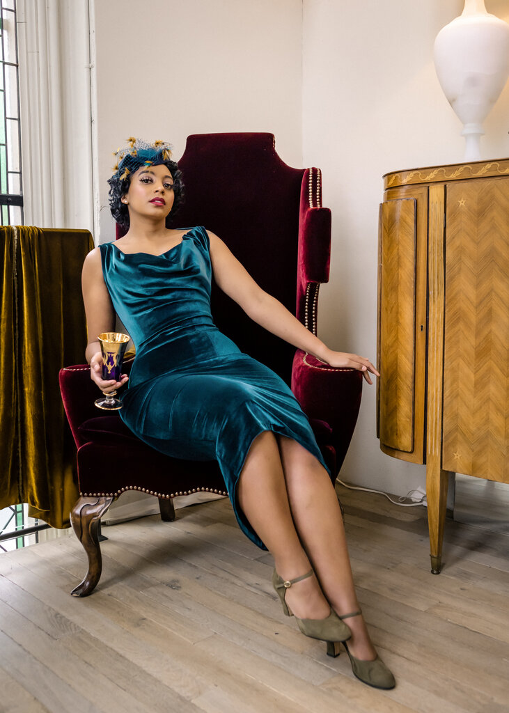Dark Garden Sleeved Sophia Dress in Velvet