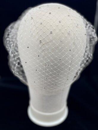 Kalico Delafay Ivory Veil with Lace Clips and Crystals