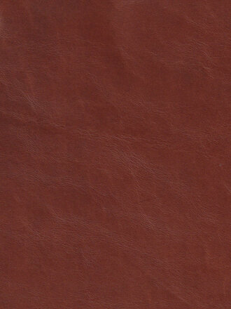 Dark Garden Posture Harness in Brown Leather