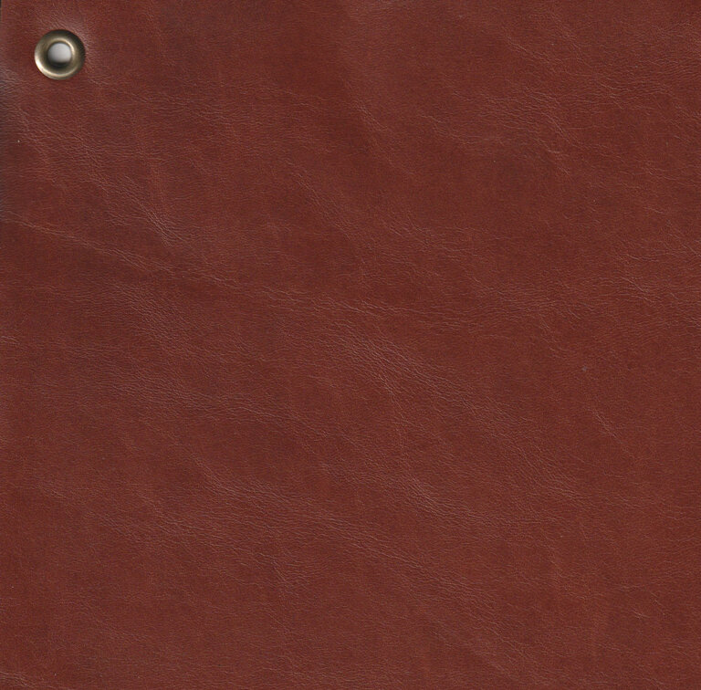 Dark Garden Posture Harness in Brown Leather