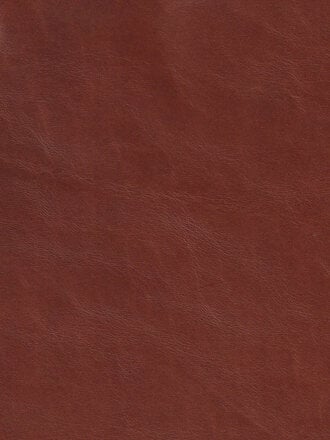 Dark Garden Posture Harness in Brown Leather [Made to Order]