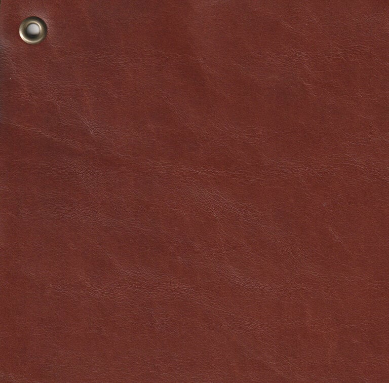 Dark Garden Posture Harness in Brown Leather [Made to Order]