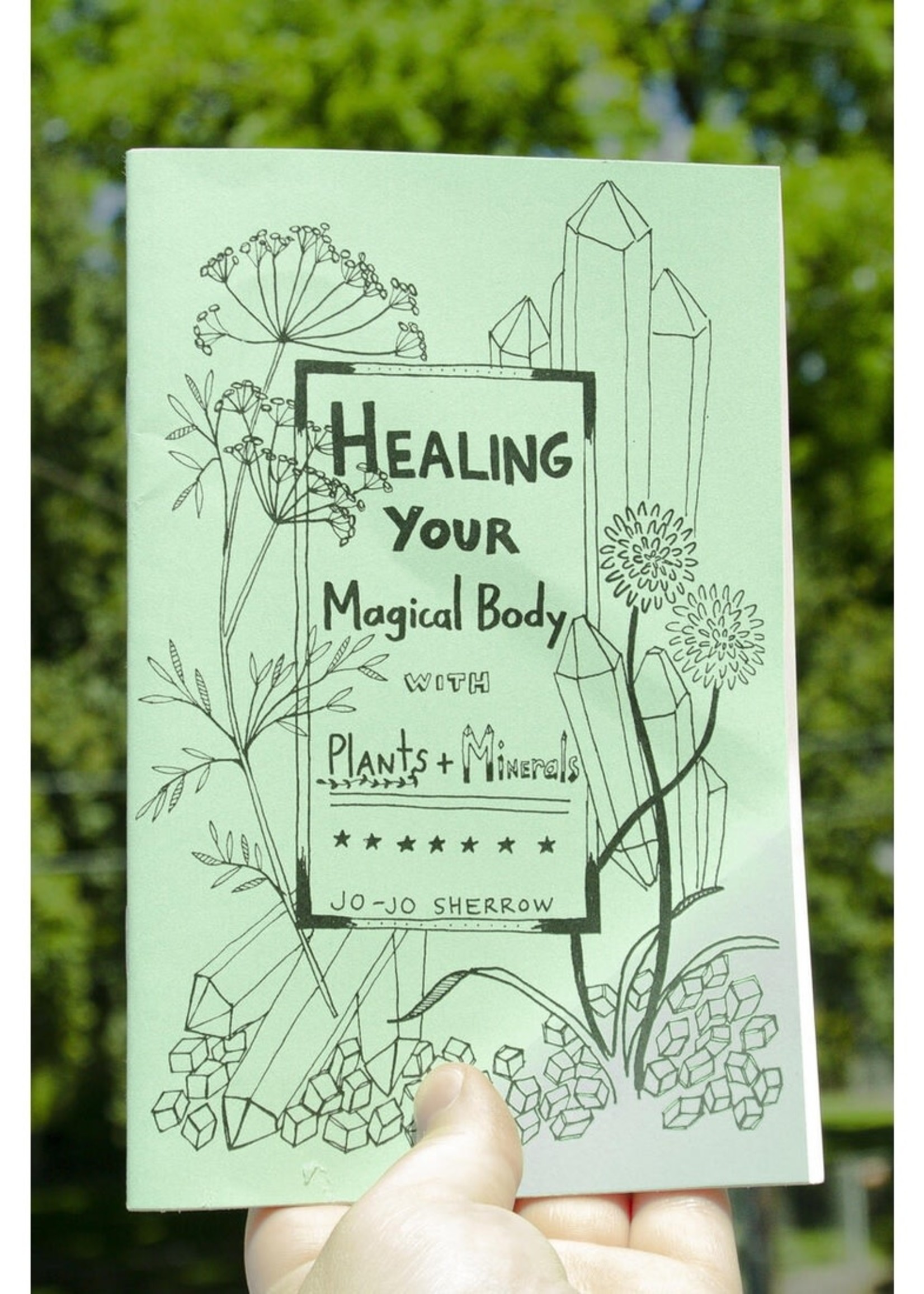Microcosm Publishing Healing with plants and minerals