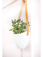Ashley Rose Clothing Ceramic Hanging Planter