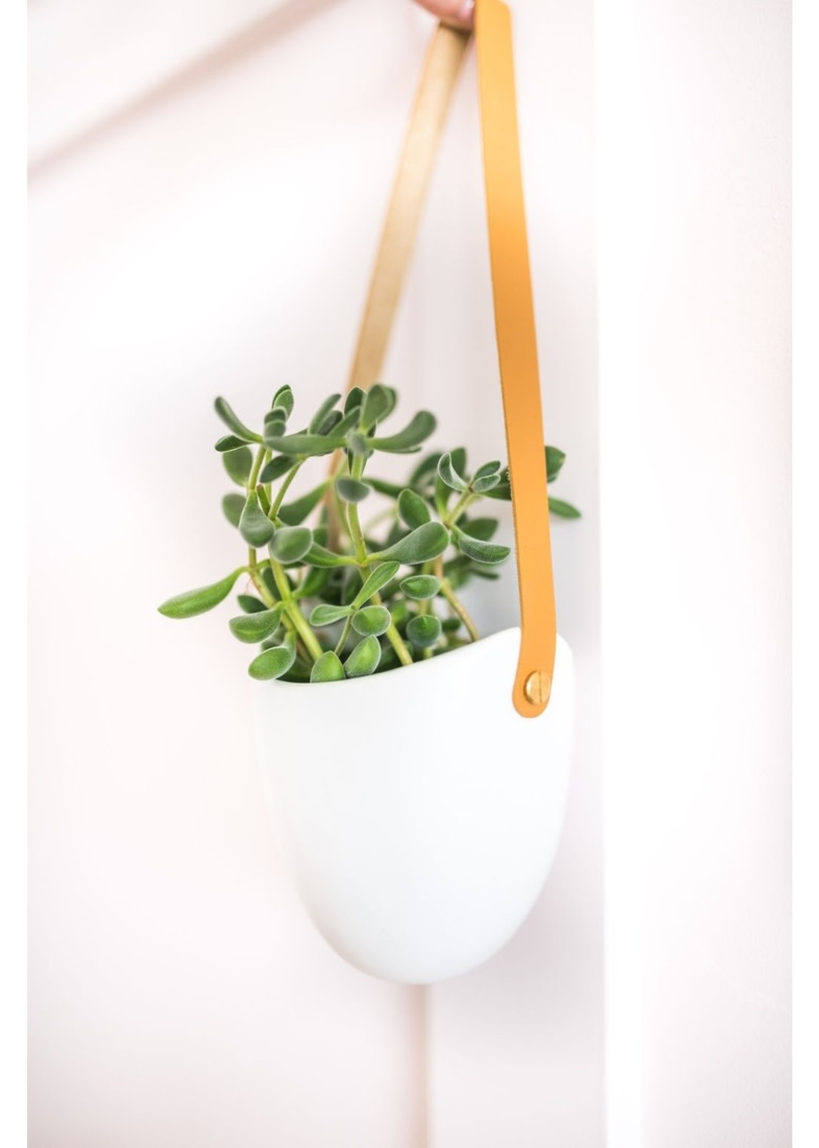 Ashley Rose Clothing Ceramic Hanging Planter