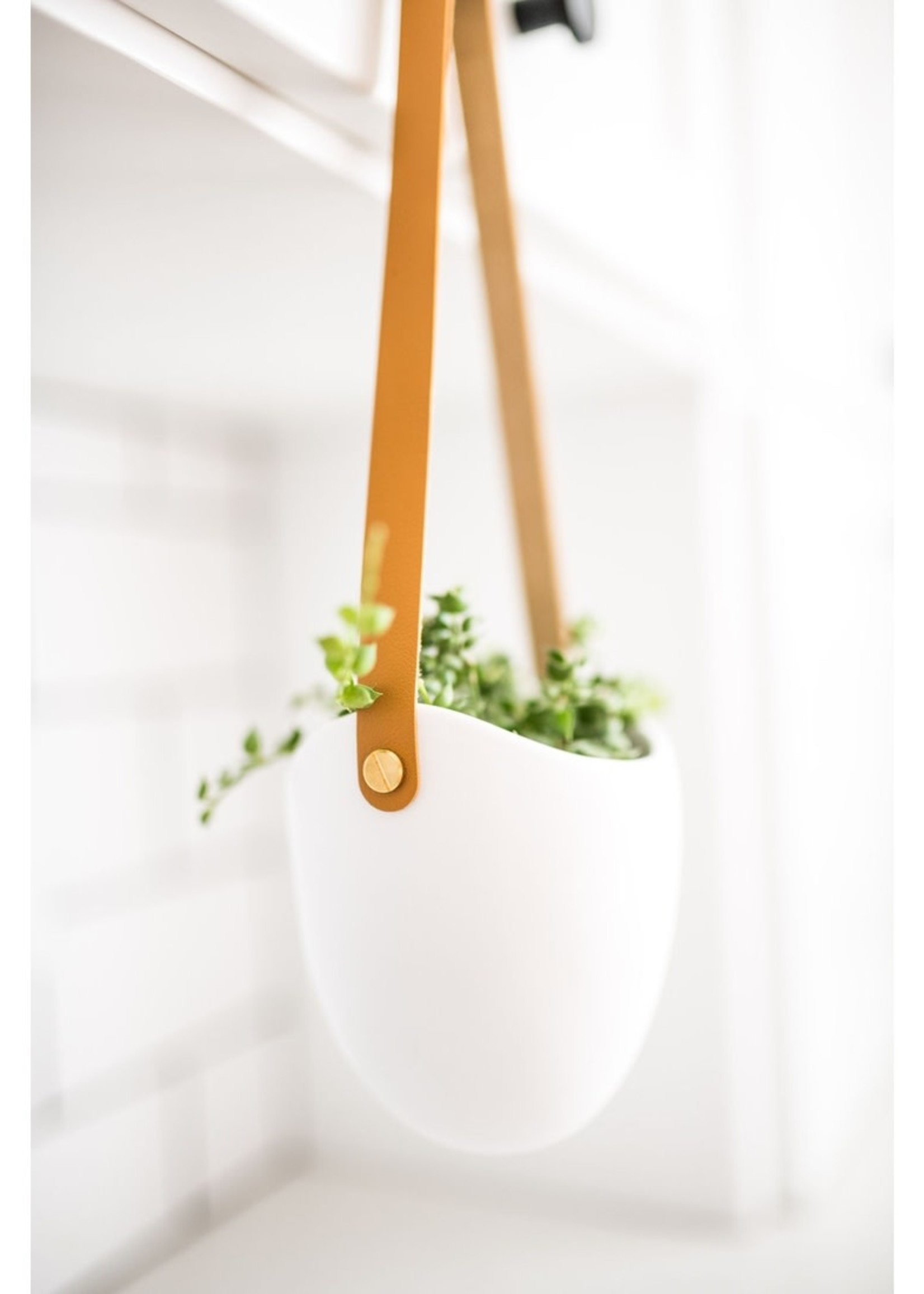 Ashley Rose Clothing Ceramic Hanging Planter