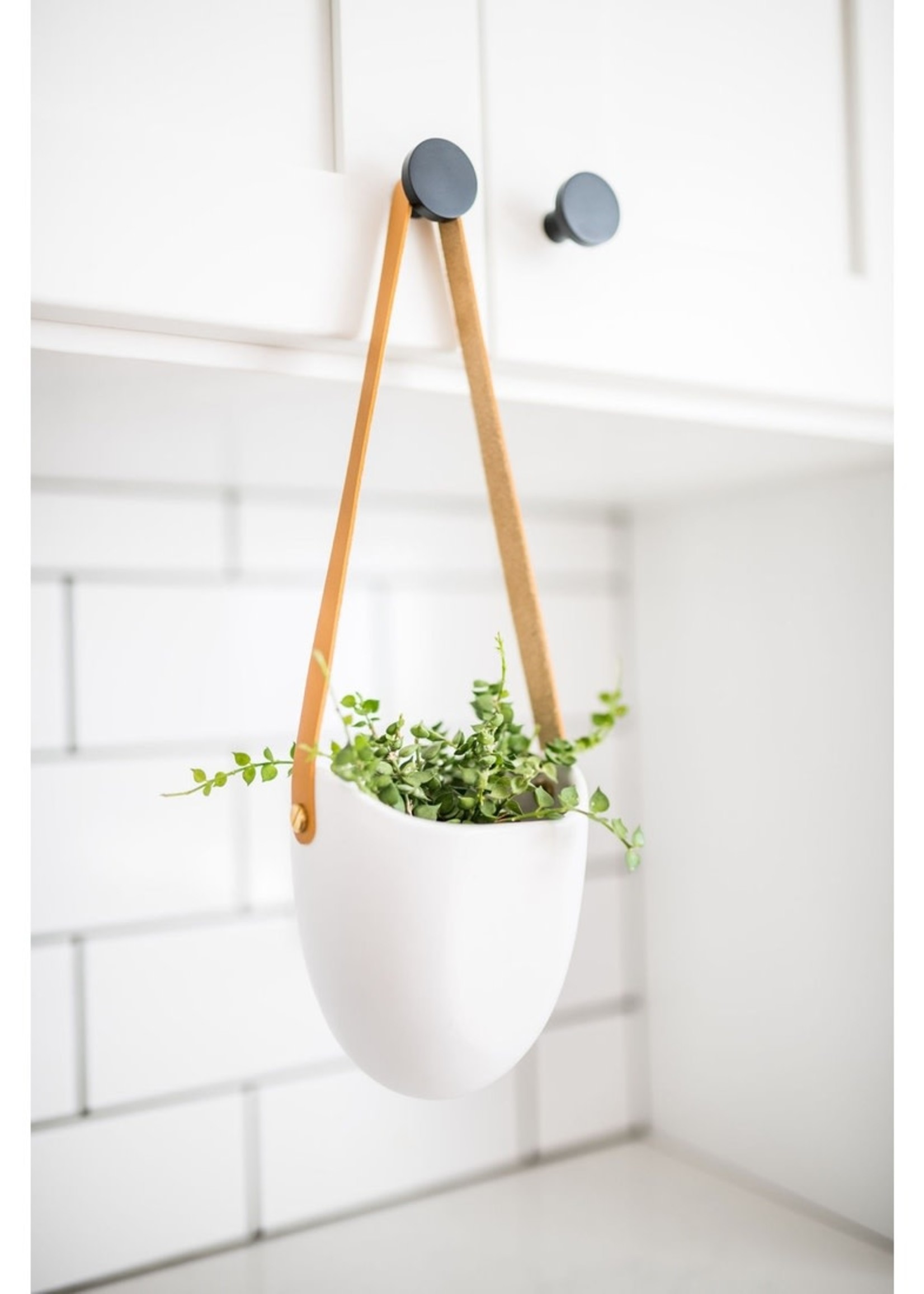 Ashley Rose Clothing Ceramic Hanging Planter