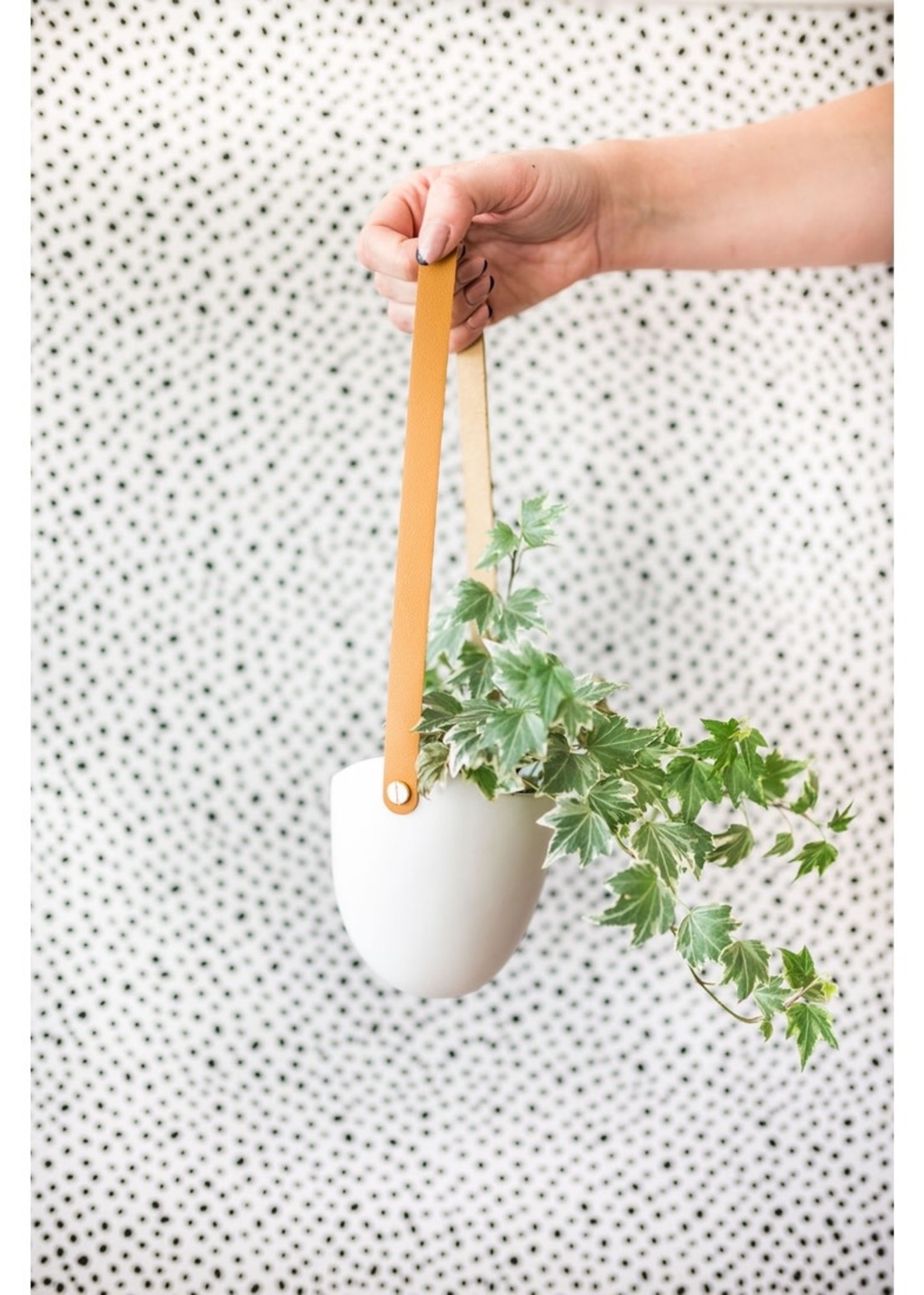 Ashley Rose Clothing Ceramic Hanging Planter
