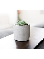 Made by Deborah Concrete Planter Large