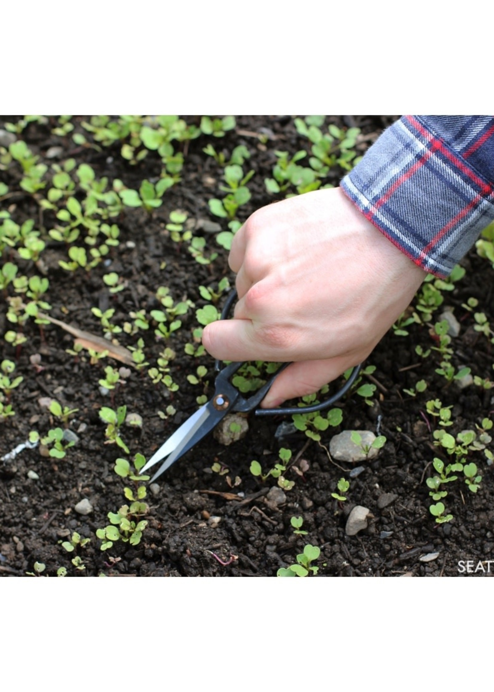 Seattle Seed Co. Forged Steel Pruning Shears