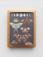 Root & Branch Paper Co. Moonlit Moths Everyday Boxed Card Set