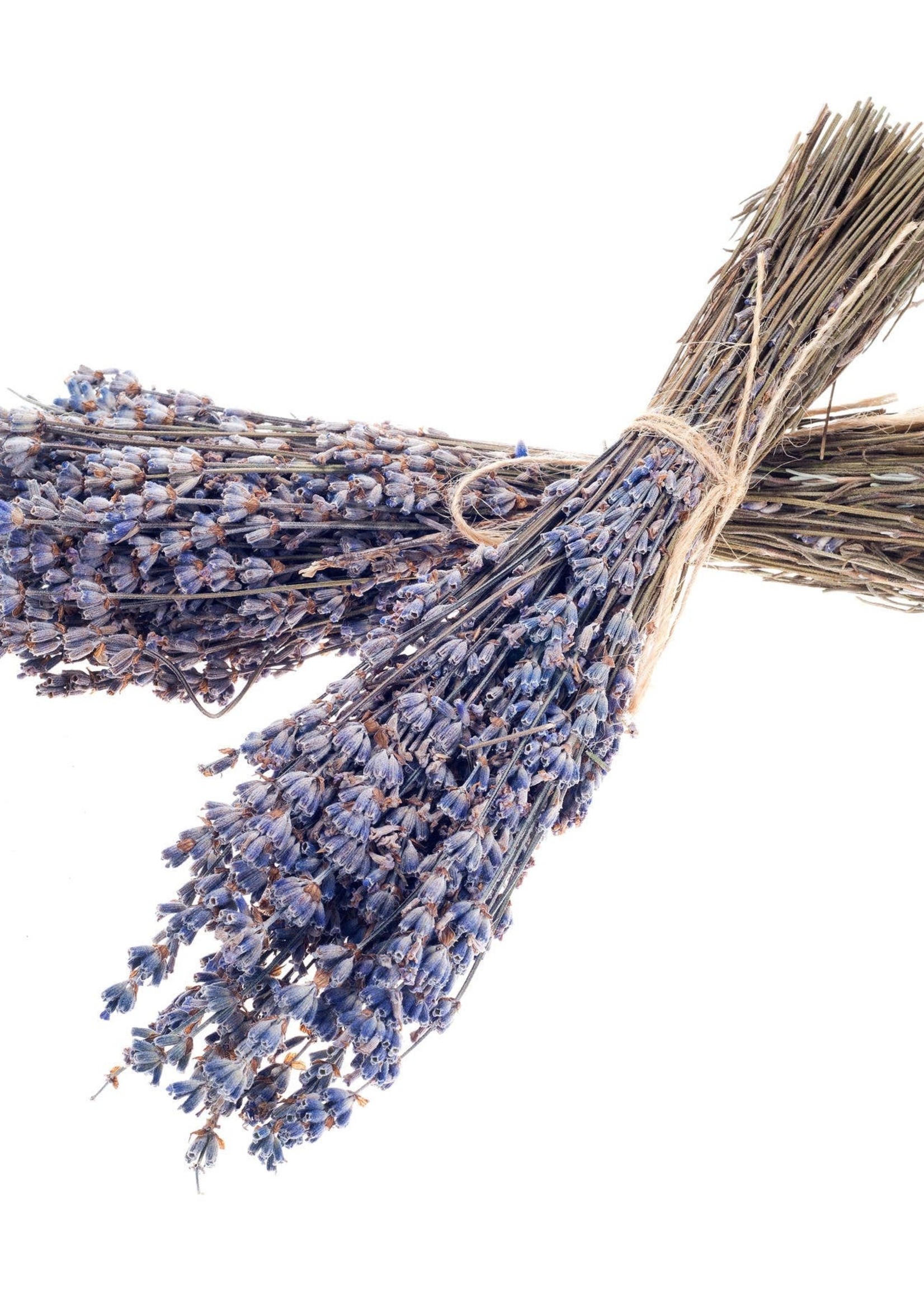 Seattle Seed Co. Dried French Lavender