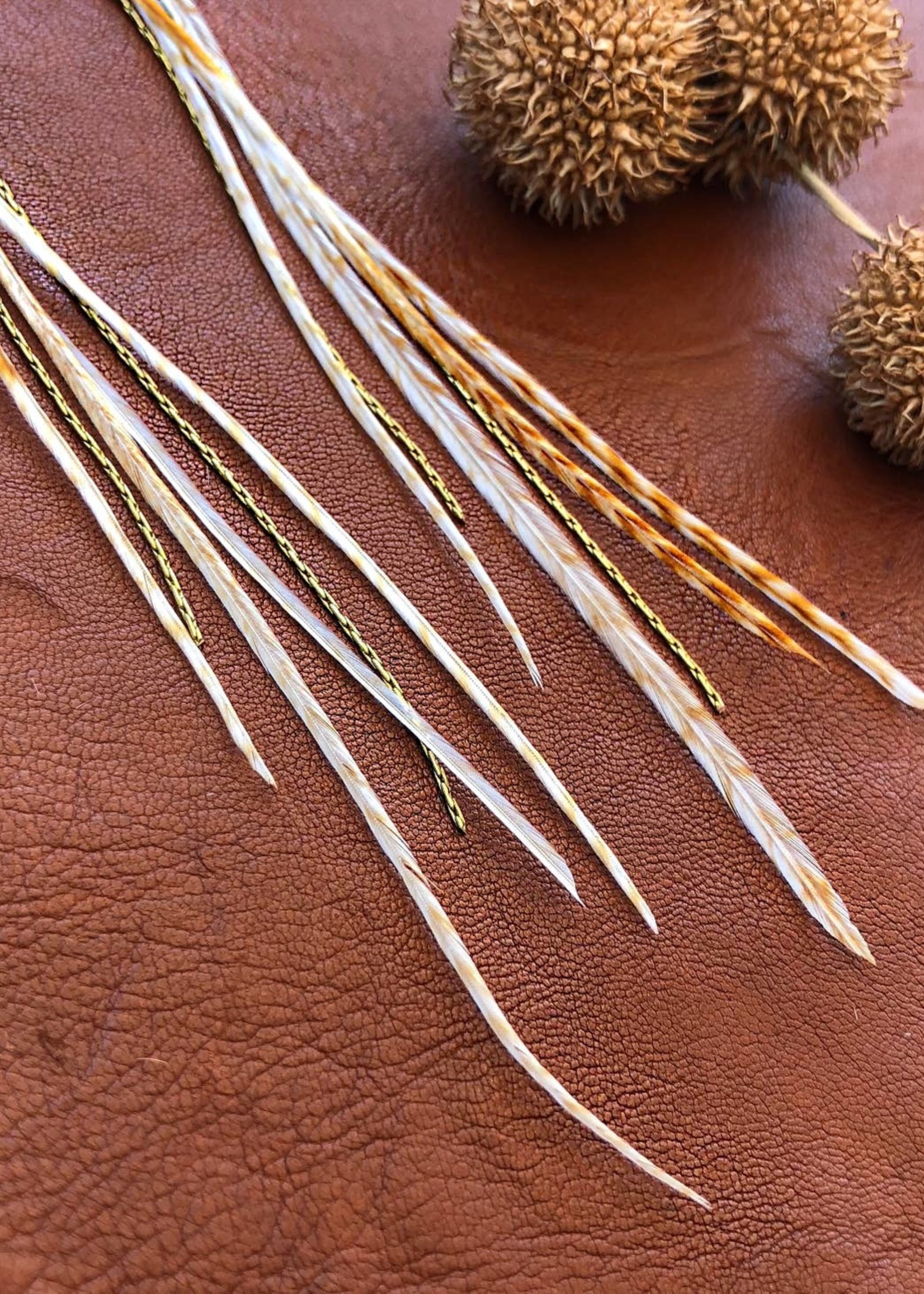 ASTALI Mini Feather Earrings