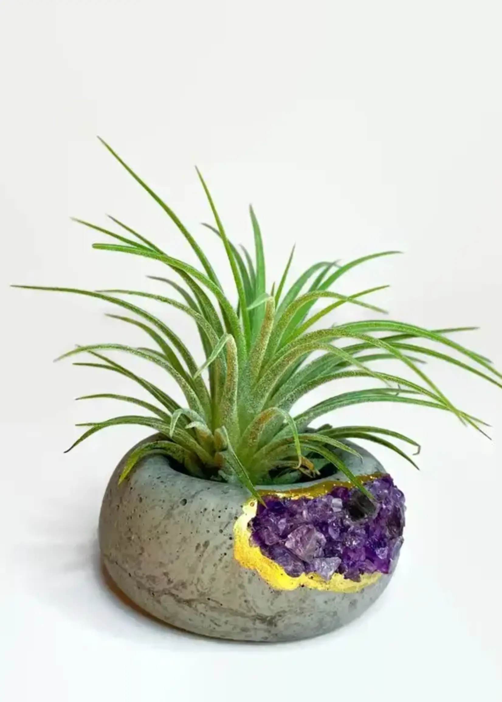 Aura 8 Art Boutique Amethyst Air Plant Holder