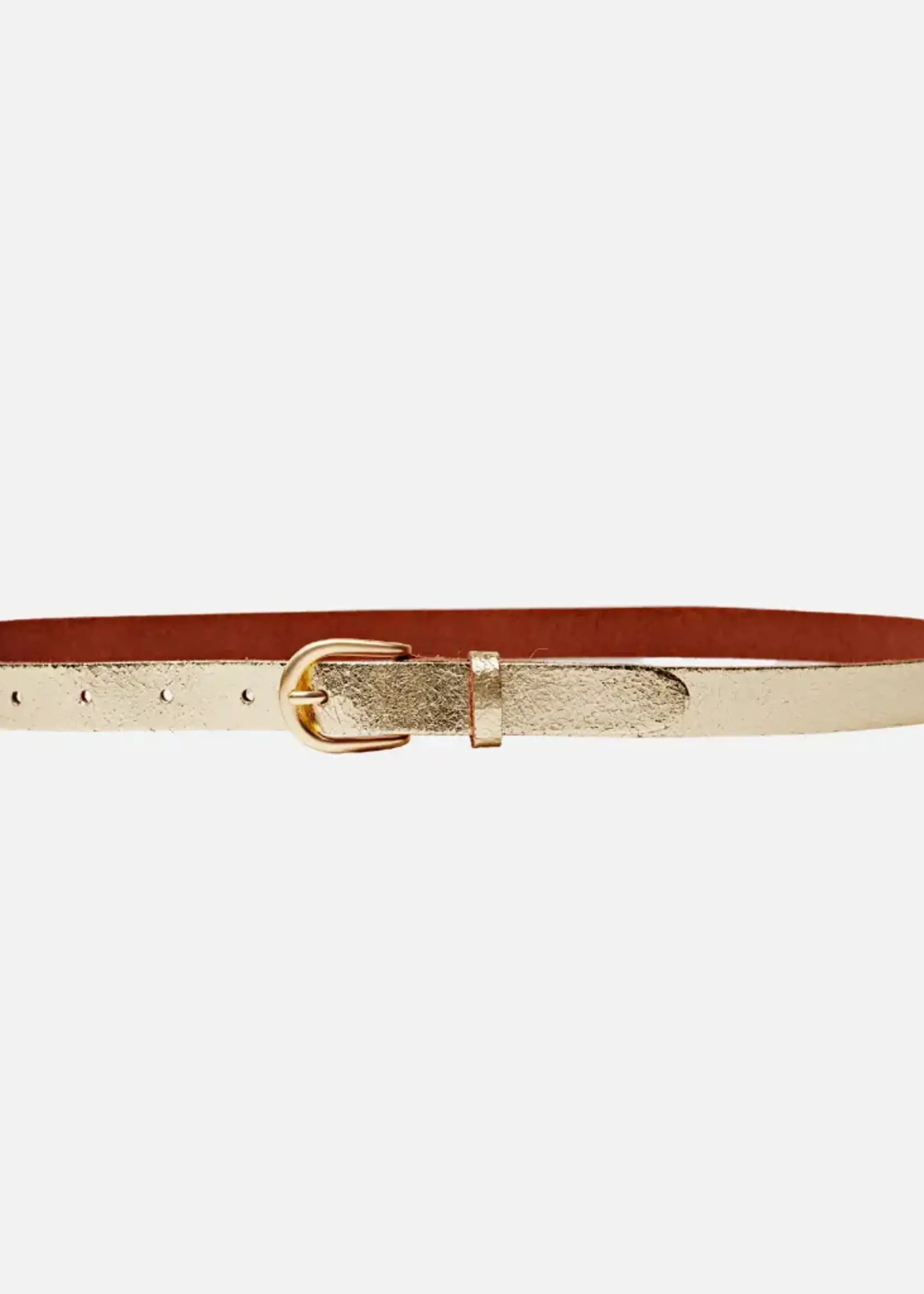 Amsterstdam Heritage Belts &Bags Metallic Leather Belt