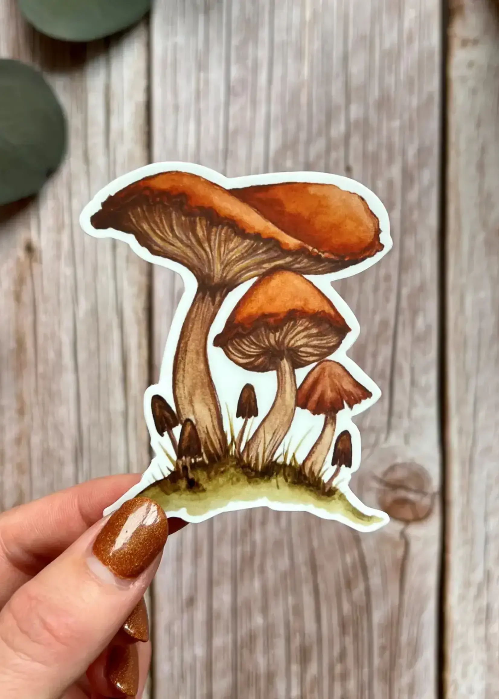 Fox & Fables Mushroom Bunch Sticker