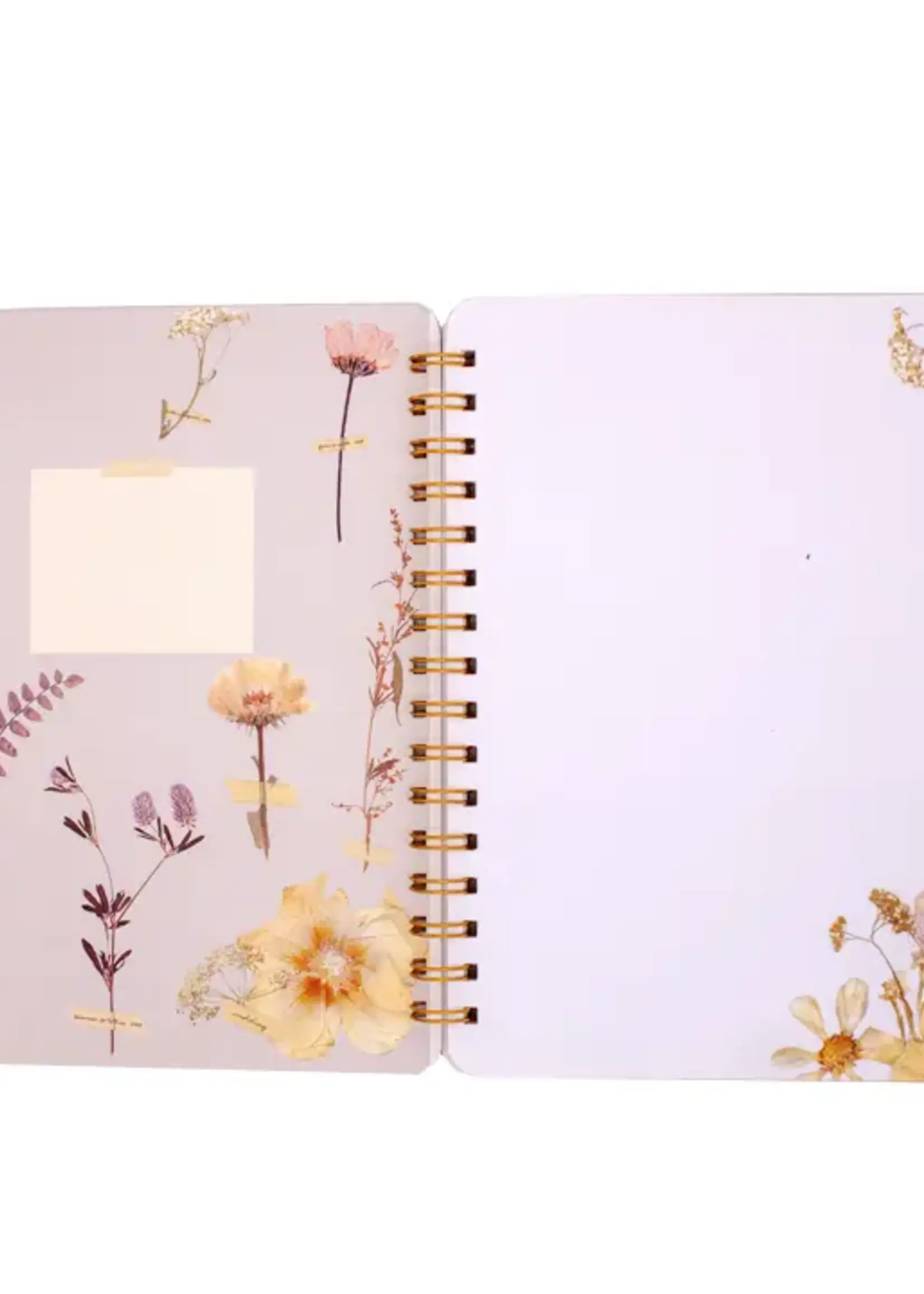 PAPAYA Spiral Notebook Cosmo Lace