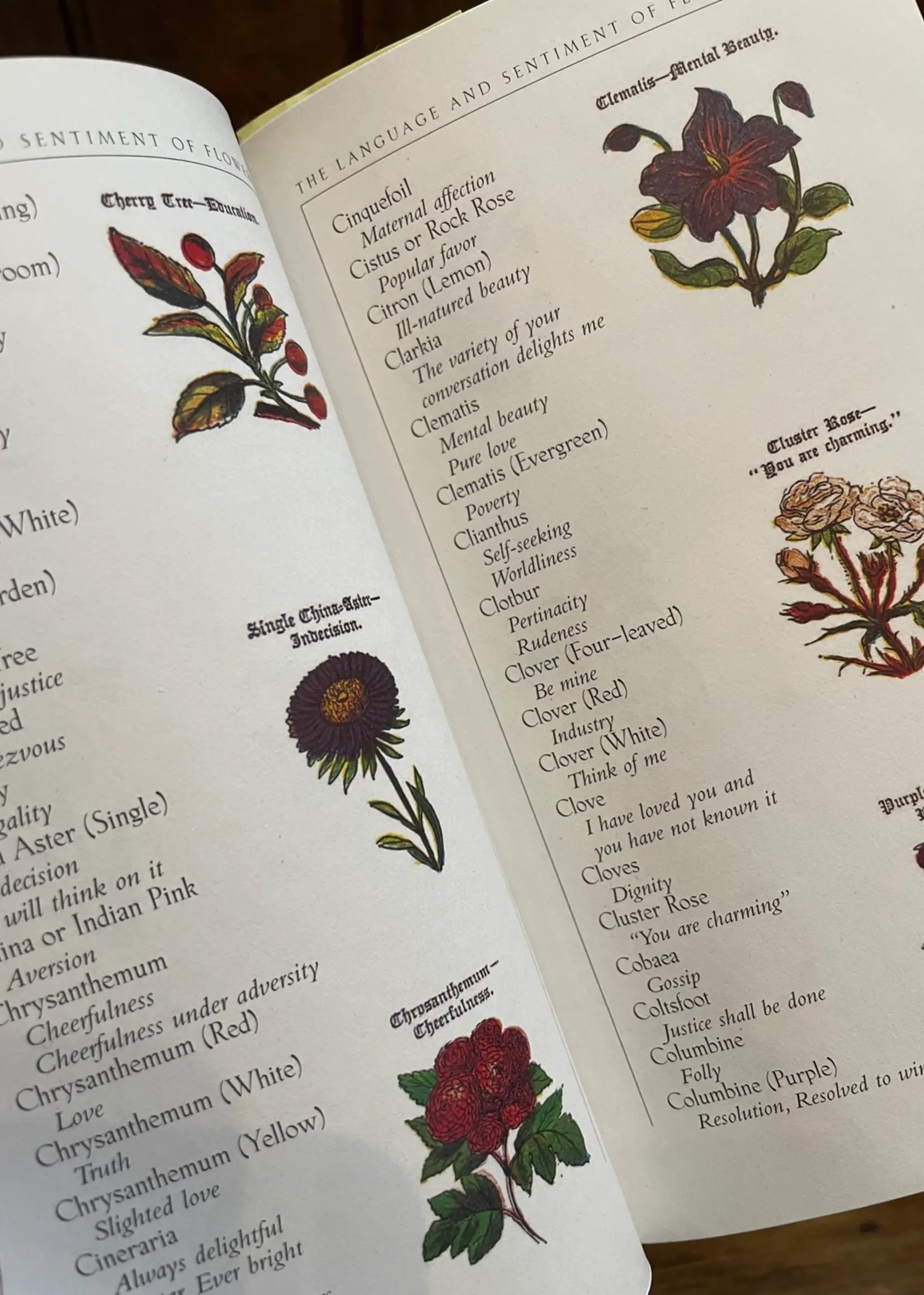 Applewoods Books The Language and Sentiment of Flowers