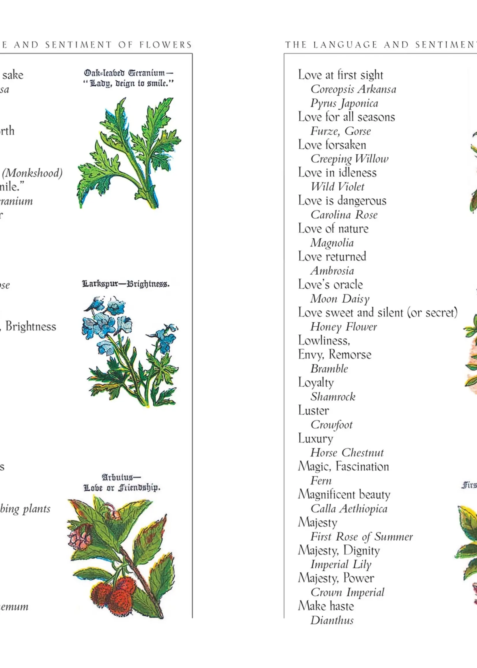 Applewoods Books The Language and Sentiment of Flowers