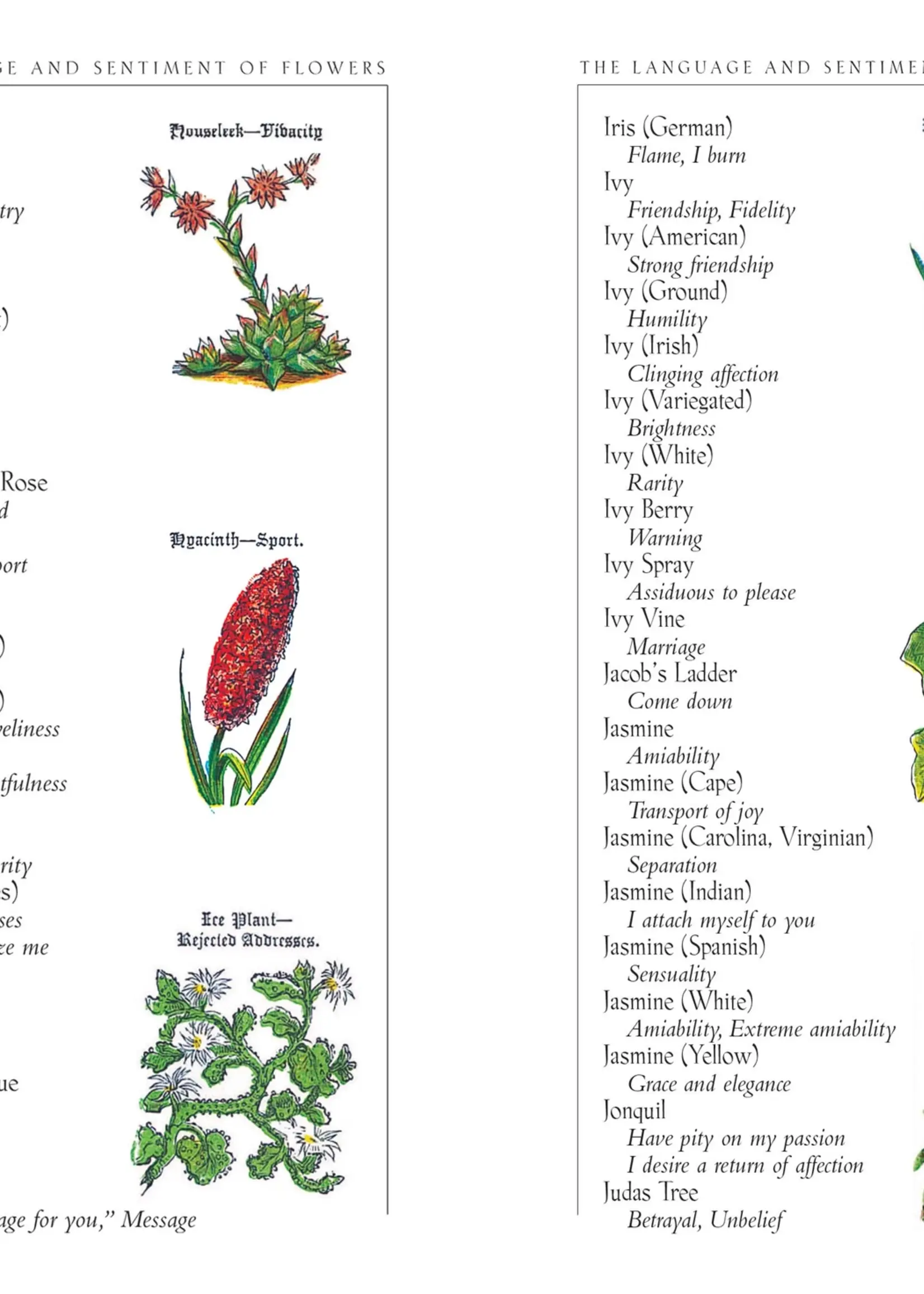 Applewoods Books The Language and Sentiment of Flowers