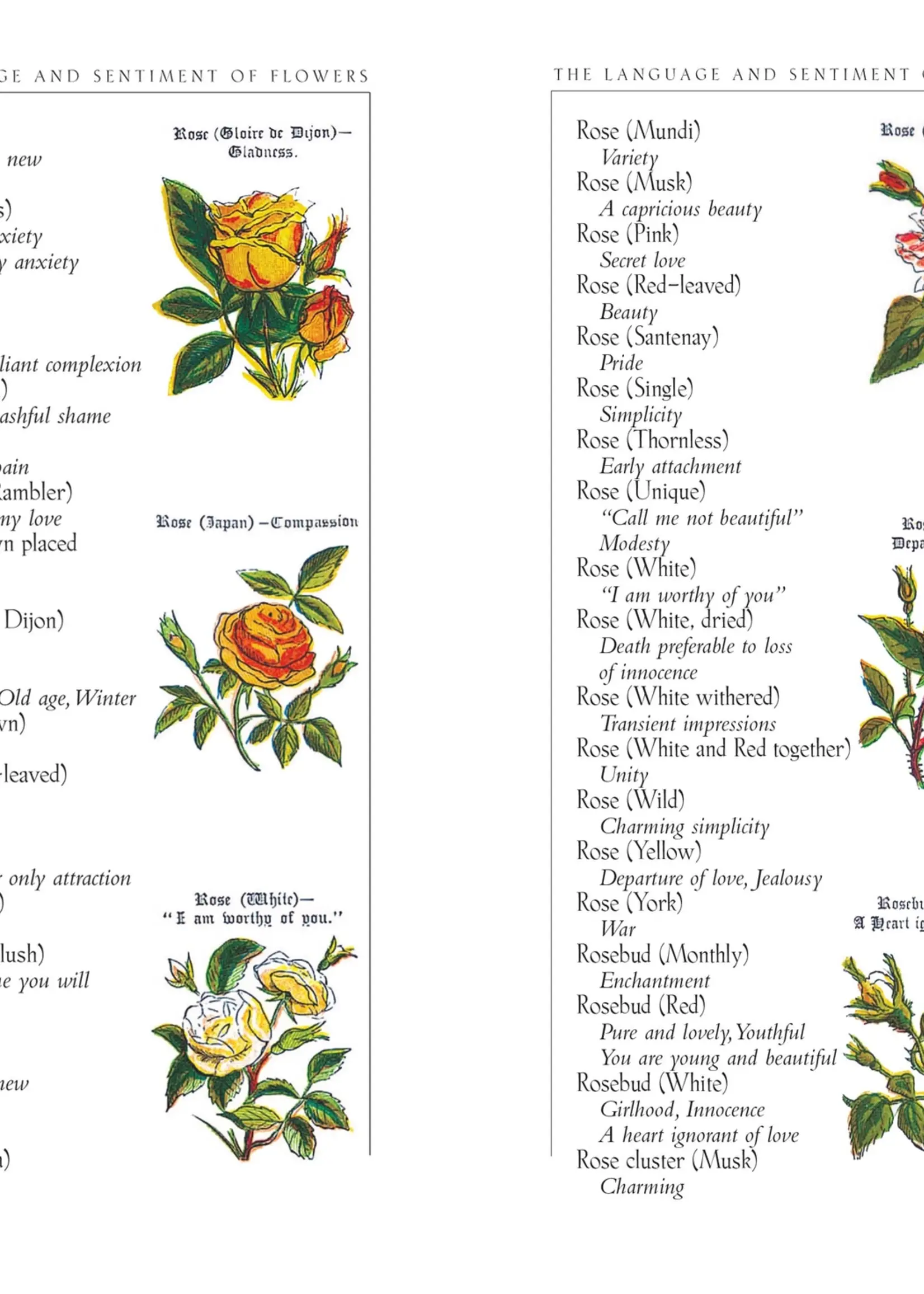 Applewoods Books The Language and Sentiment of Flowers