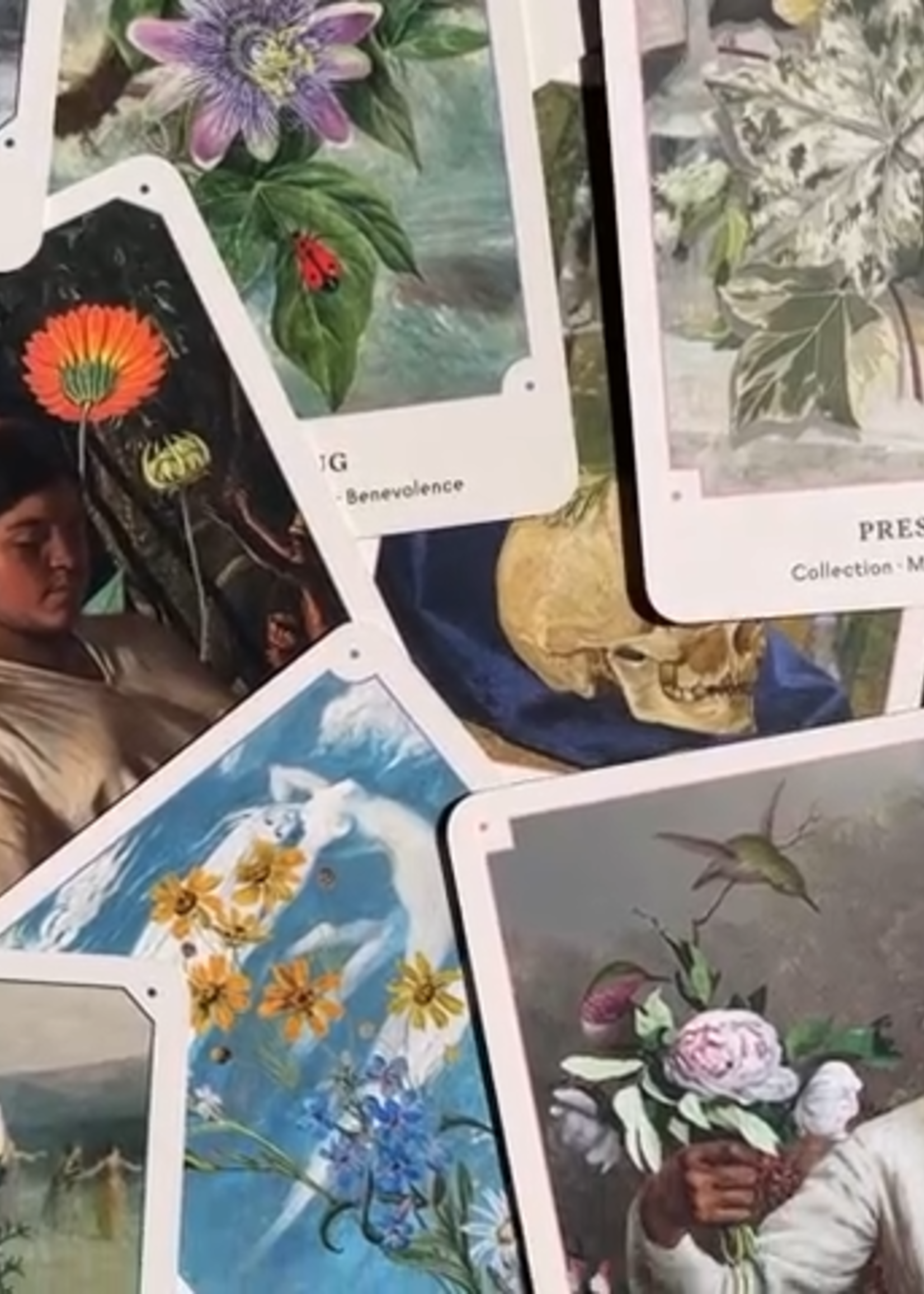 Broccoli The Flower Oracle