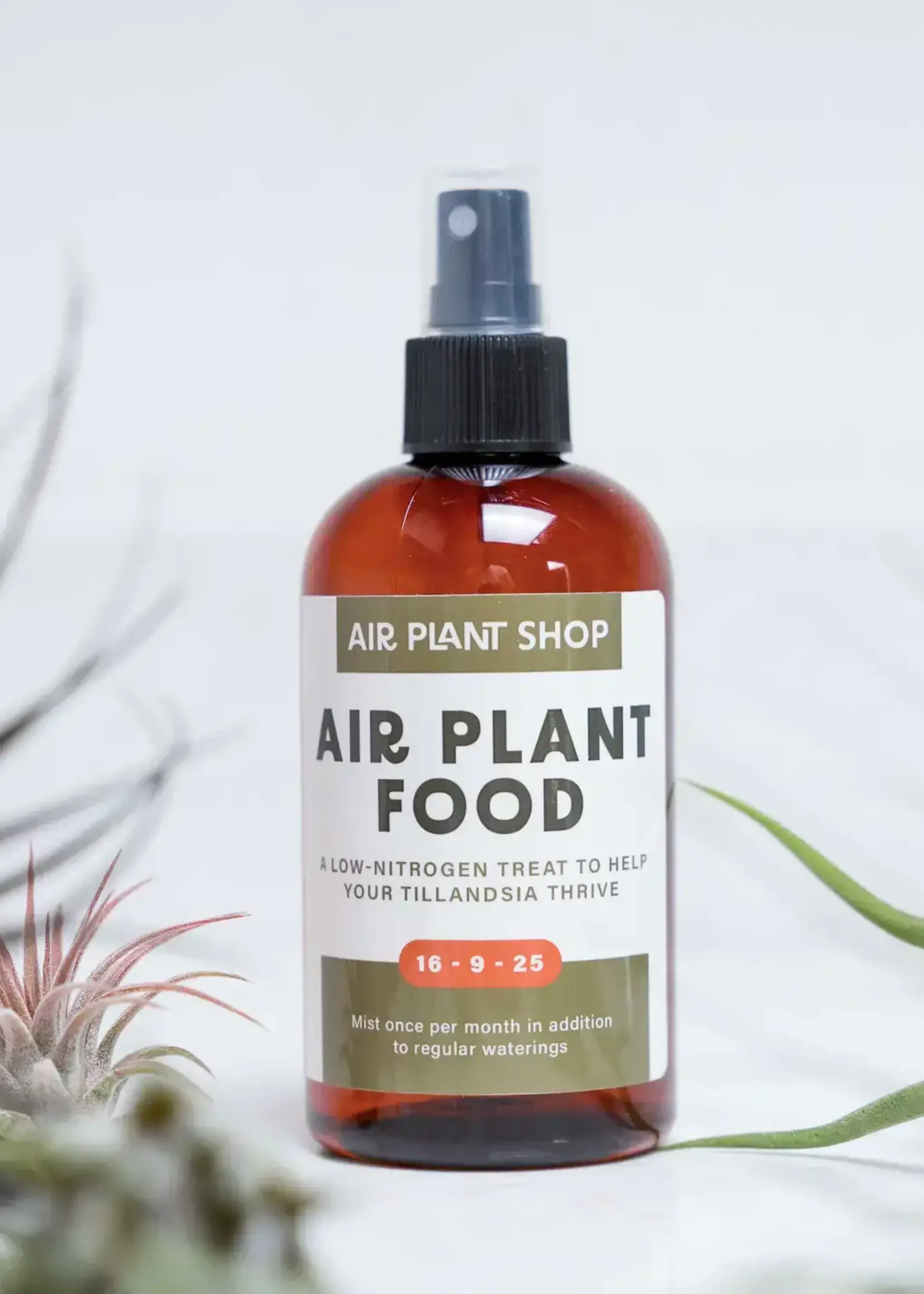 Air Plant Shop Air Plant Food Fertilizer