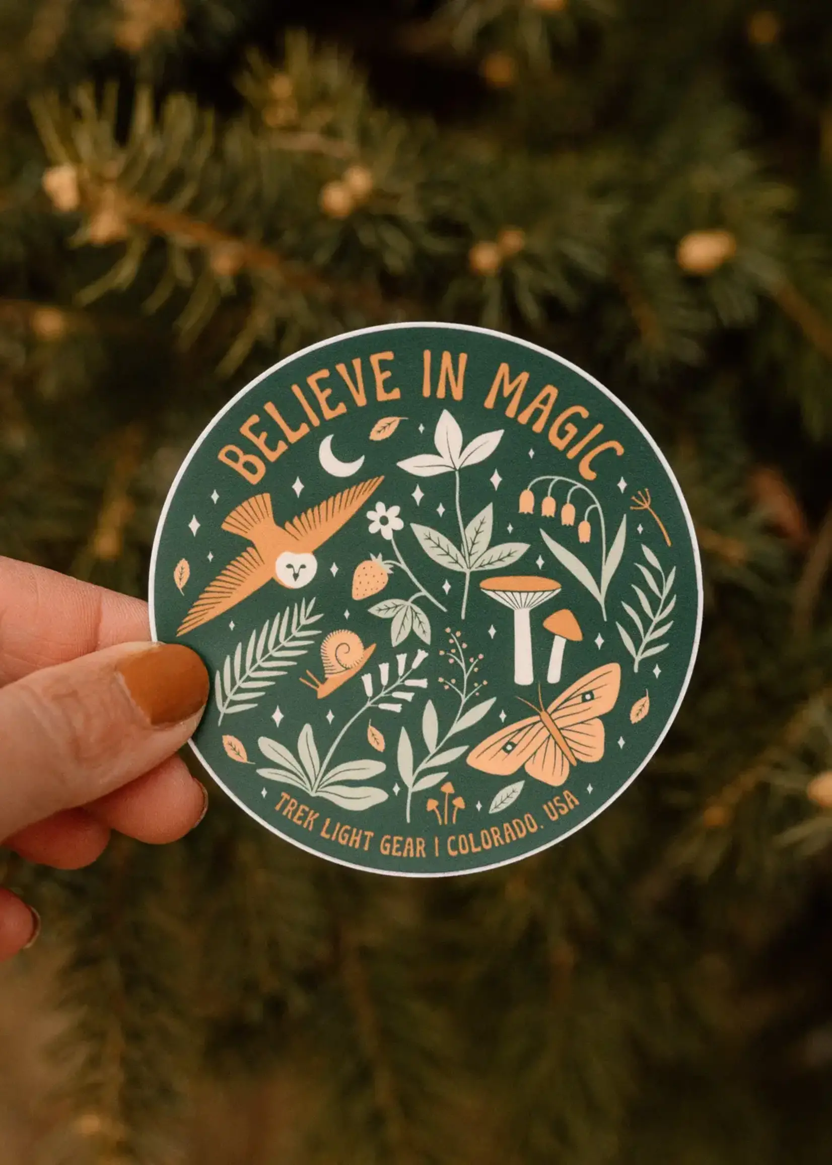 Trek Light Believe In Magic Sticker