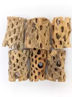 Air Plant Shop Cholla Air Plant Holder