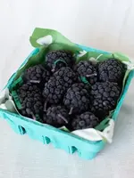 Happy Organics Blackberry Beeswax Birthday Candles