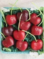 Happy Organics Dark Red Cherry Beeswax Birthday Candles