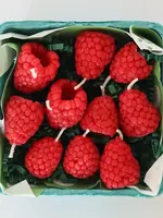 Happy Organics Rasberry Beeswax Birthday Candles