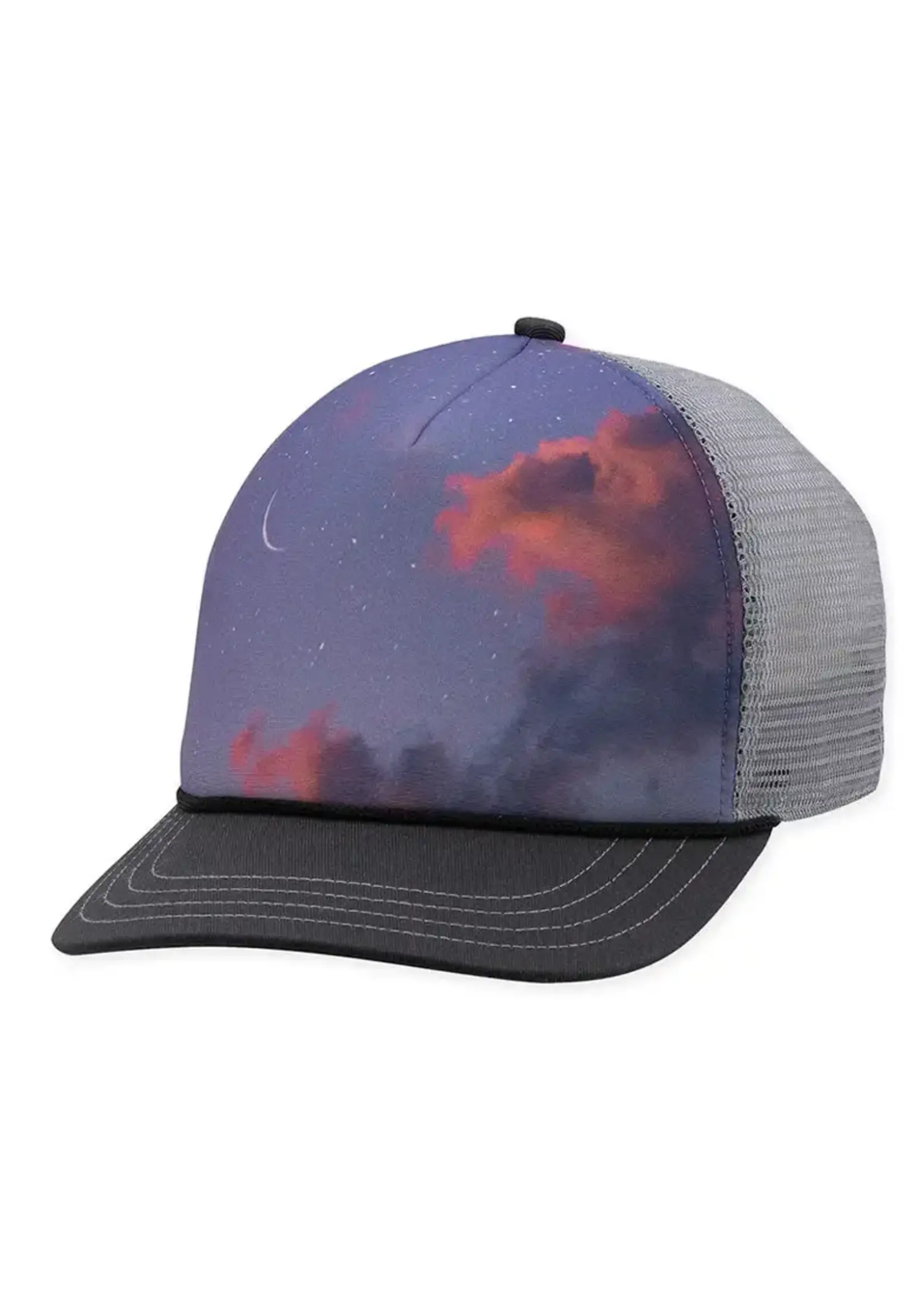 Pistil Matty Trucker Gunmetal