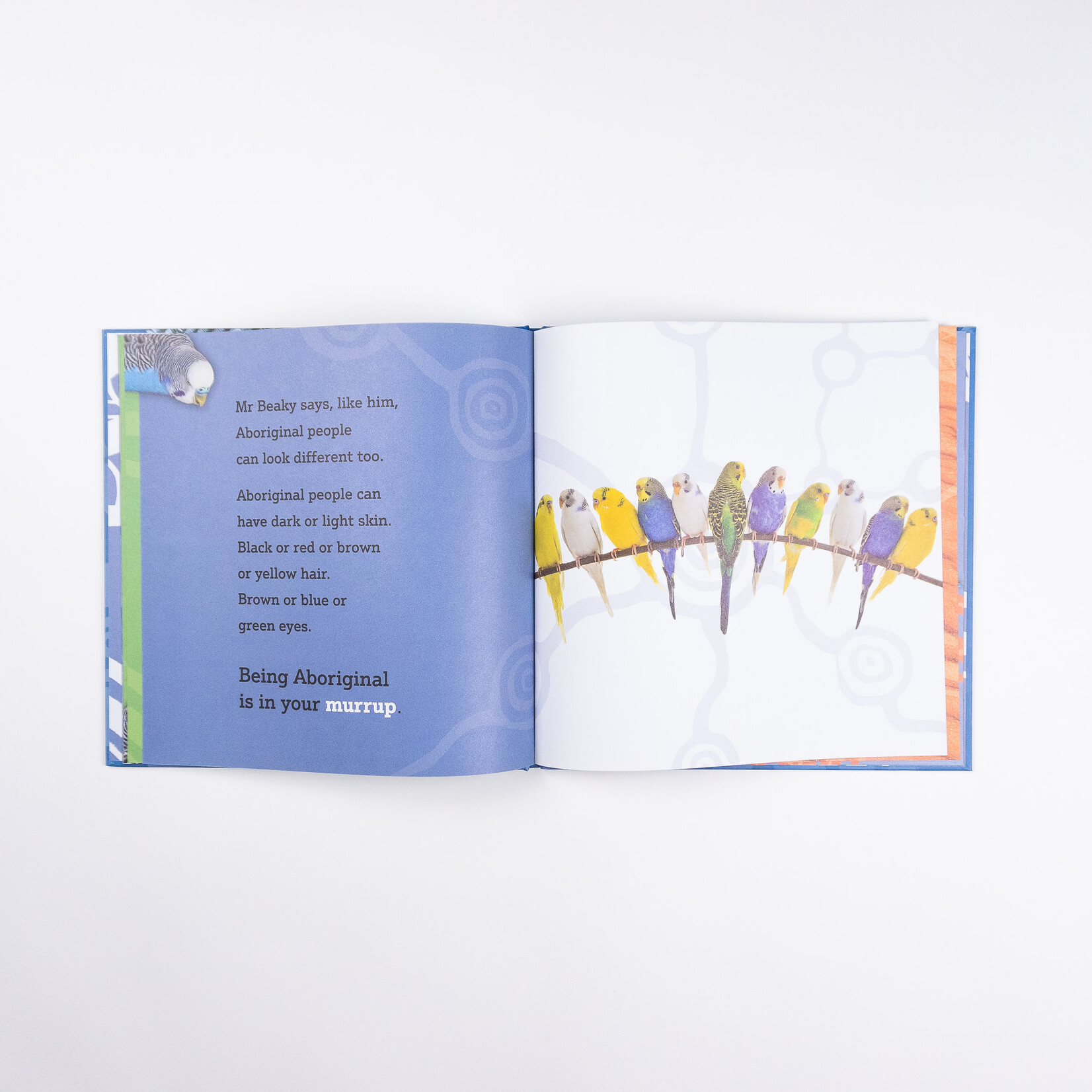 Wild Dog Books Cassie Leatham and Sue Lawson — An Important Message From Mr Beaky