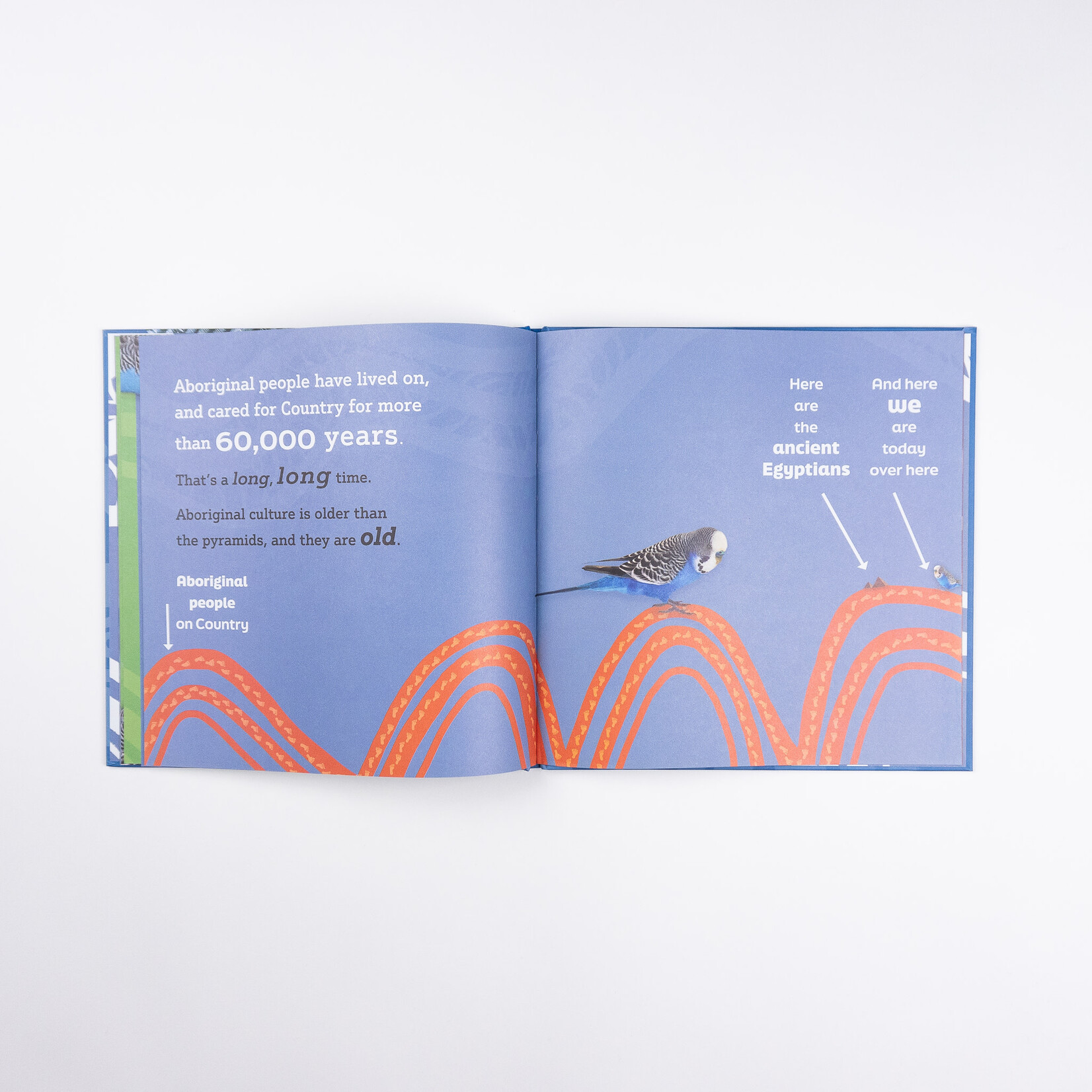 Wild Dog Books Cassie Leatham and Sue Lawson — An Important Message From Mr Beaky