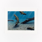 Ray Thomas Mounted A3 Art Print