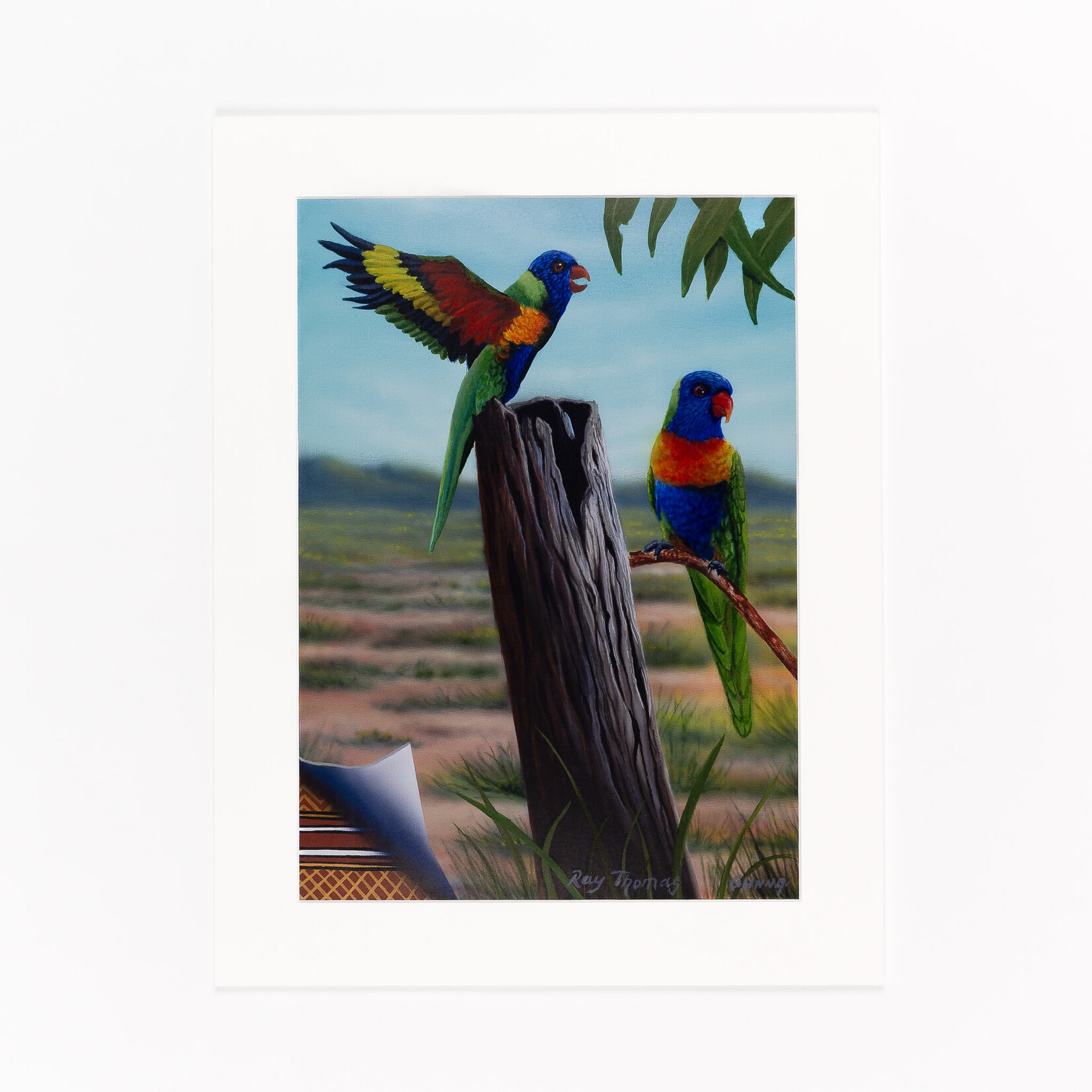 Ray Thomas A3 Mounted Art Print