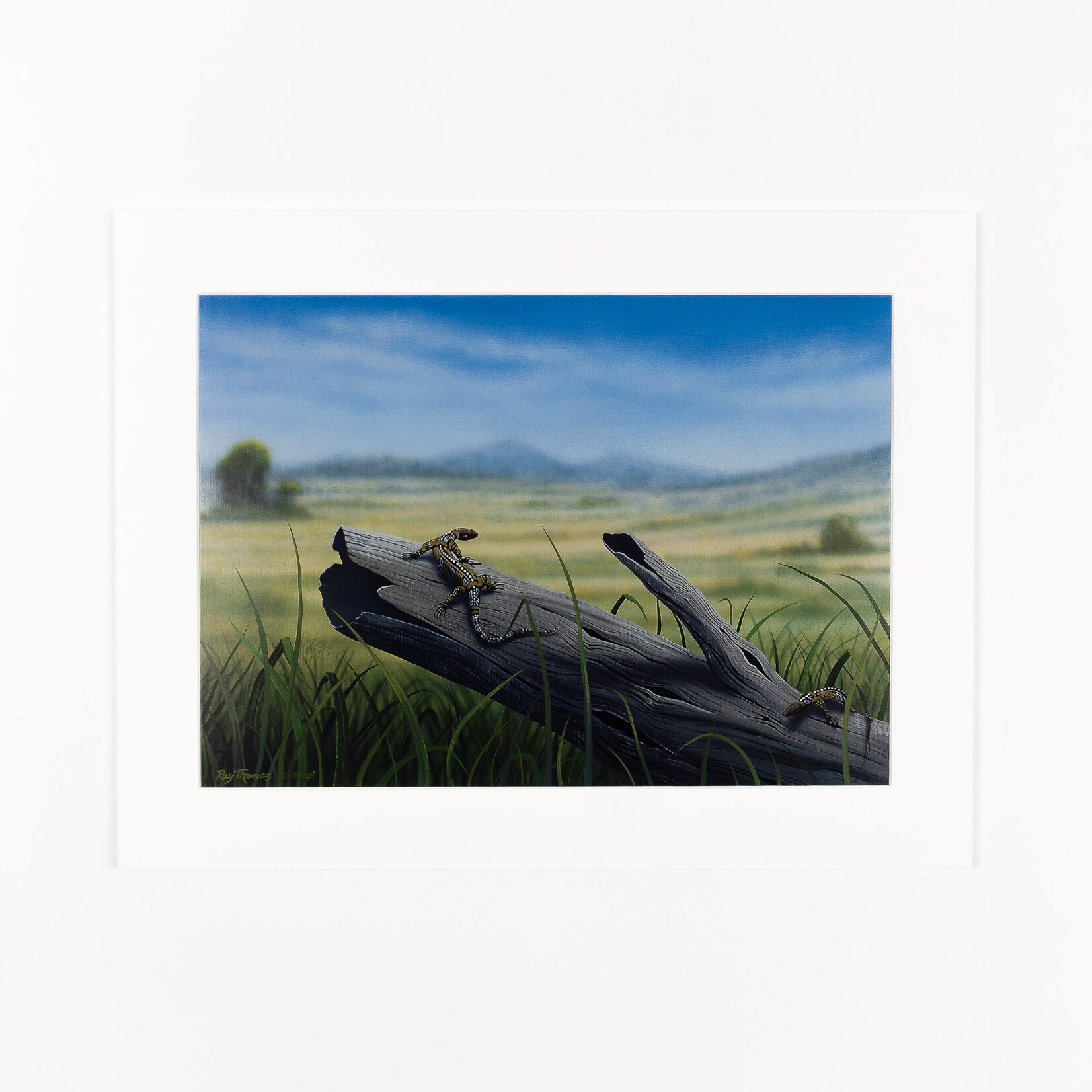 Ray Thomas Ray Thomas — A3 Mounted Art Print