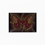 Cameron Benson Emperor Gum Moth A4 Art Print