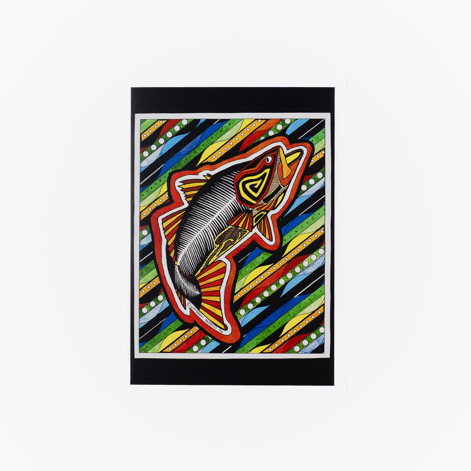 Cameron Benson Fish A4 Art Print